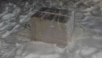 Pakunek w centrum Białegostoku. Zajrzeli do środka. Wszystko jasne