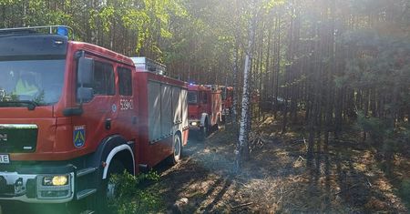 Spłonęło 3,5 hektara lasu. To sprawka trójki dzieci i zabawy ogniem