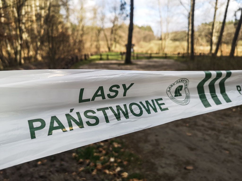 Będzie ponowny zakaz wejścia do lasów? Zagrożenie pożarowe jest coraz wyższe