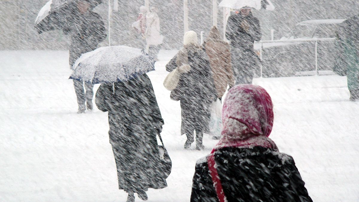 Zdjęcie ilustracyjne 