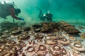 Odkrycie w Szwajcarii. Naukowcy przecierali oczy ze zdumienia