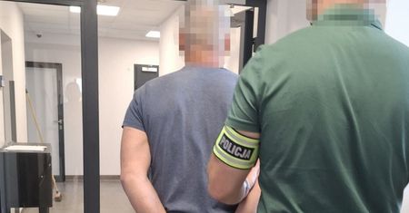 Staranował stado dzików. Świadkowie wezwali służby
