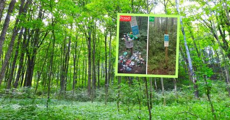 Skandaliczne zachowanie turystów w lesie. Leśnicy pokazali zdjęcie przed i po