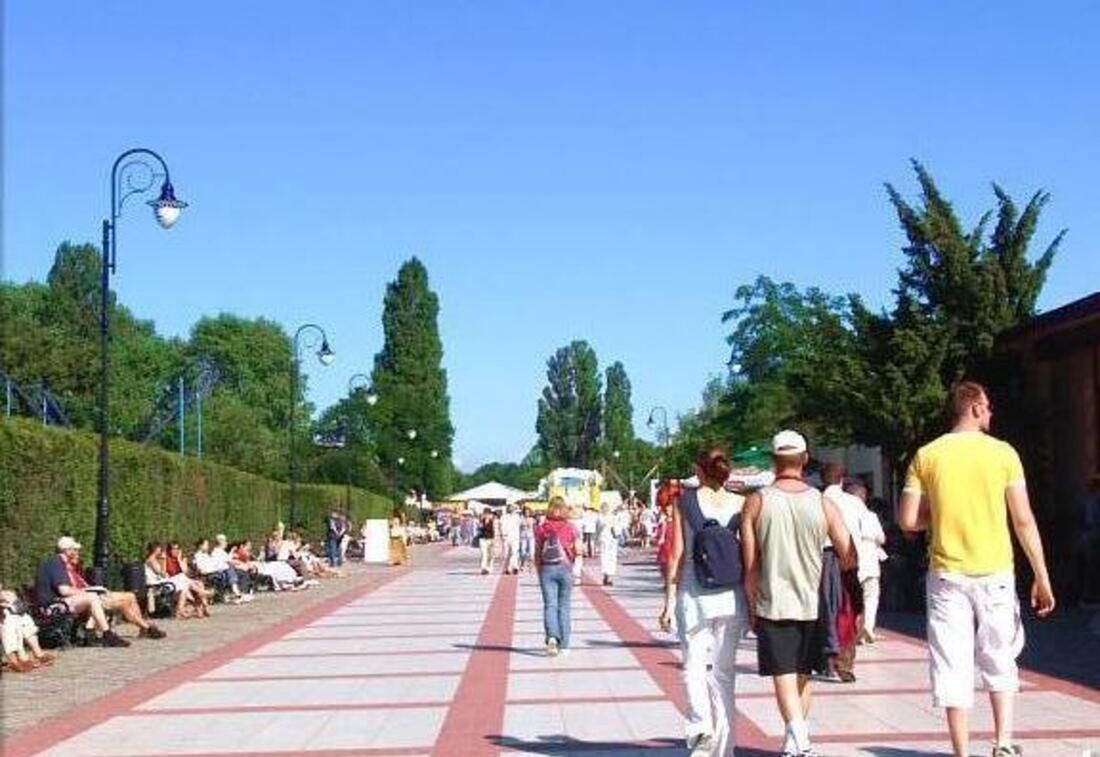 Śmierć konia na promenadzie w Świnoujściu. Prokuratura wyjaśnia sprawę