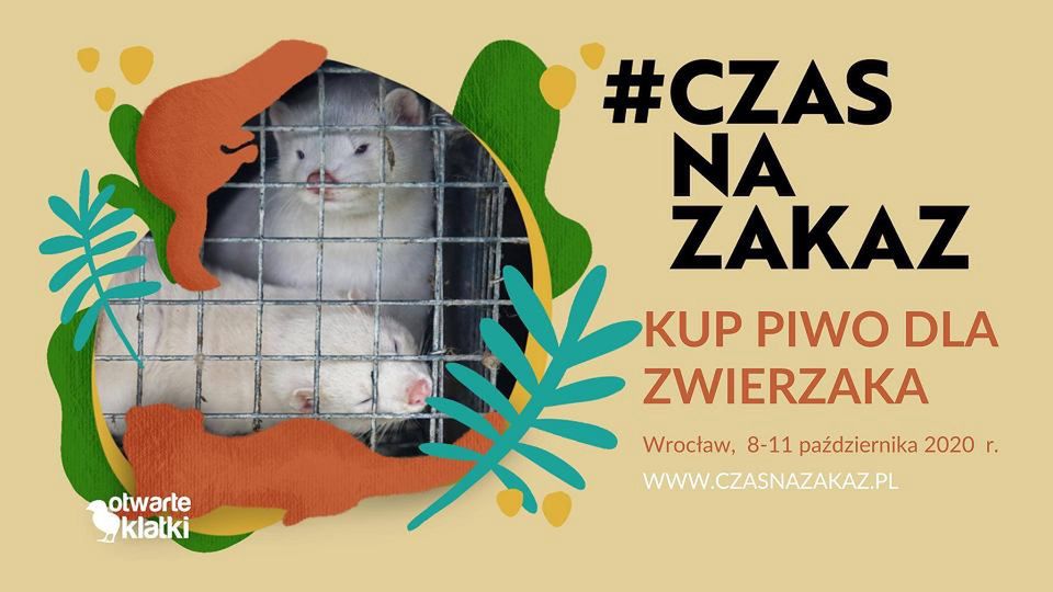 Wrocław. Toasty za zdrowie zwierząt. Plakat piwnej akcji Otwartych Klatek