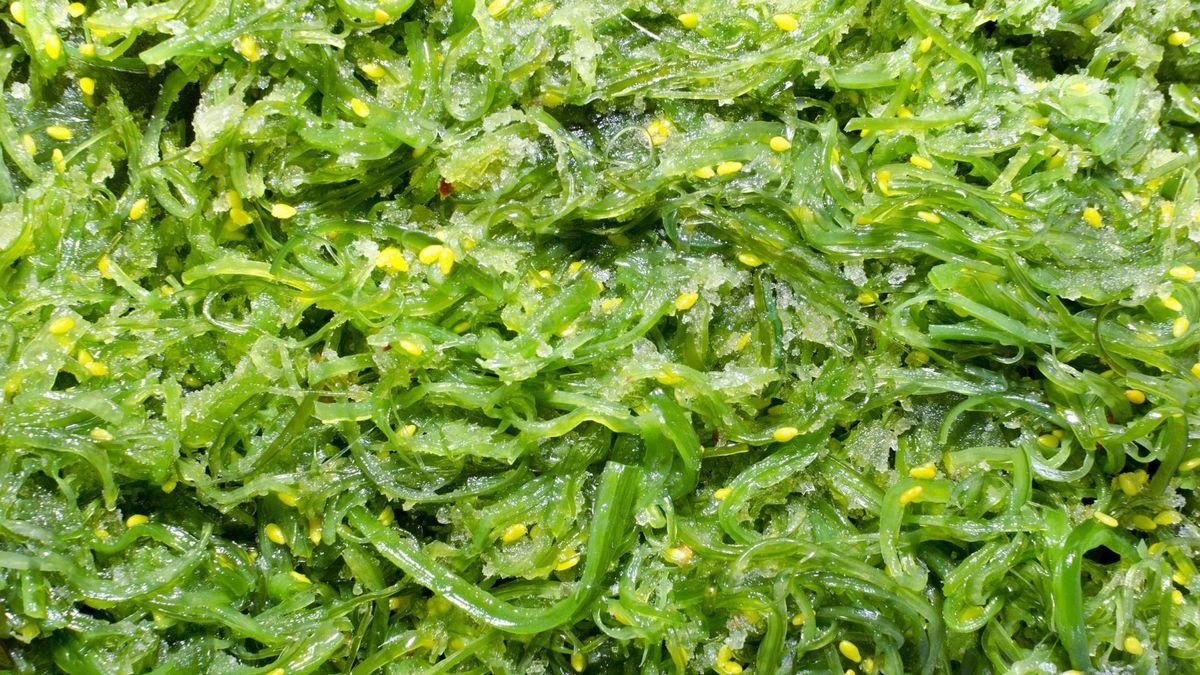 Jod bierze udział w produkcji ważnych hormonów, dzięki czemu odpowiada za prawidłową pracę układu rozrodczego