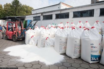 Kurs państwowej spółki podskoczył po deklaracji Mateusza Morawieckiego