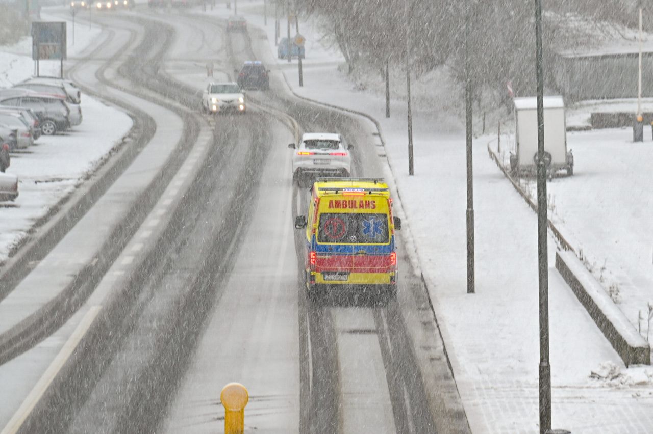 Zima wraca z impetem. Śnieżyce i silny wiatr w prognozach