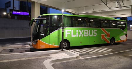 FlixBus zderzył się ze zwierzęciem. Szokująca reakcja kierowcy