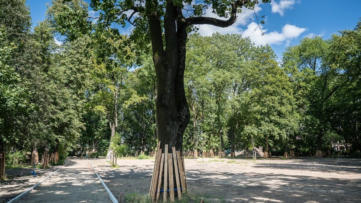 Park Bronowice - modernizacja
