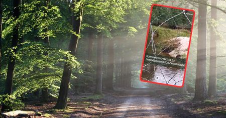 Chciał dotrzeć do Polski. Zgubił się w ukraińskich lasach