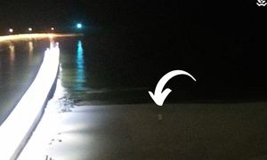 Była godzina 18:46. Kamera pokazała plażę w Łebie. "Punkcik" i pustka