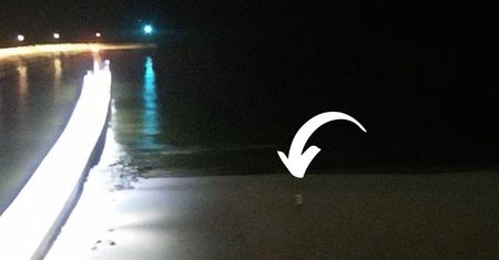 Była godzina 18:46. Kamera pokazała plażę w Łebie. "Punkcik" i pustka