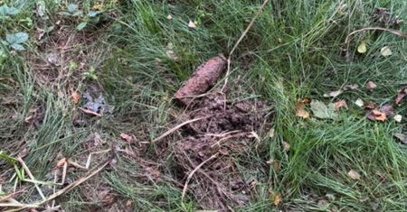 Znalazł to podczas porannego spaceru. Od razu zadzwonił na policję