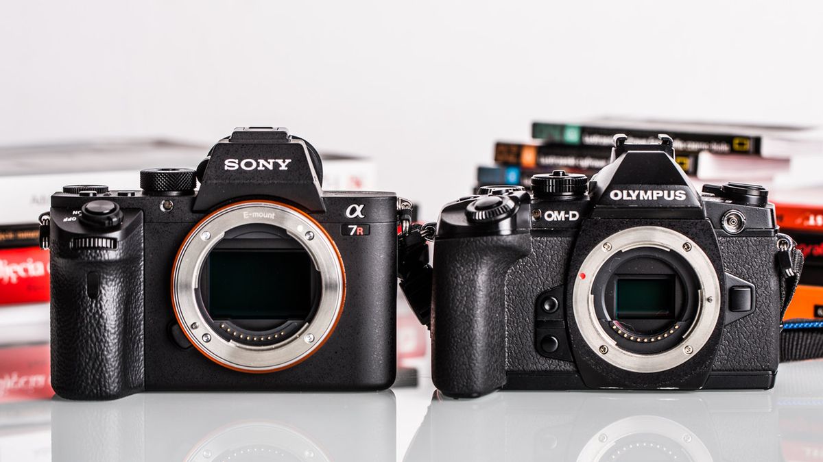 Koniec spadku sprzedaży na rynku fotograficznym. Co oznacza stabilizacja? 1