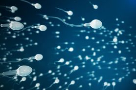 Spermidyna - funkcje, badania, znaczenie i występowanie