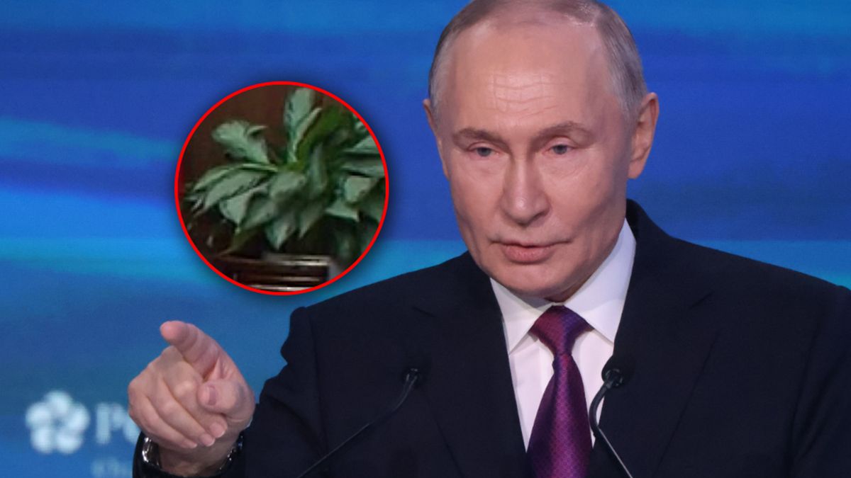 Władimir Putin zdemaskowany.