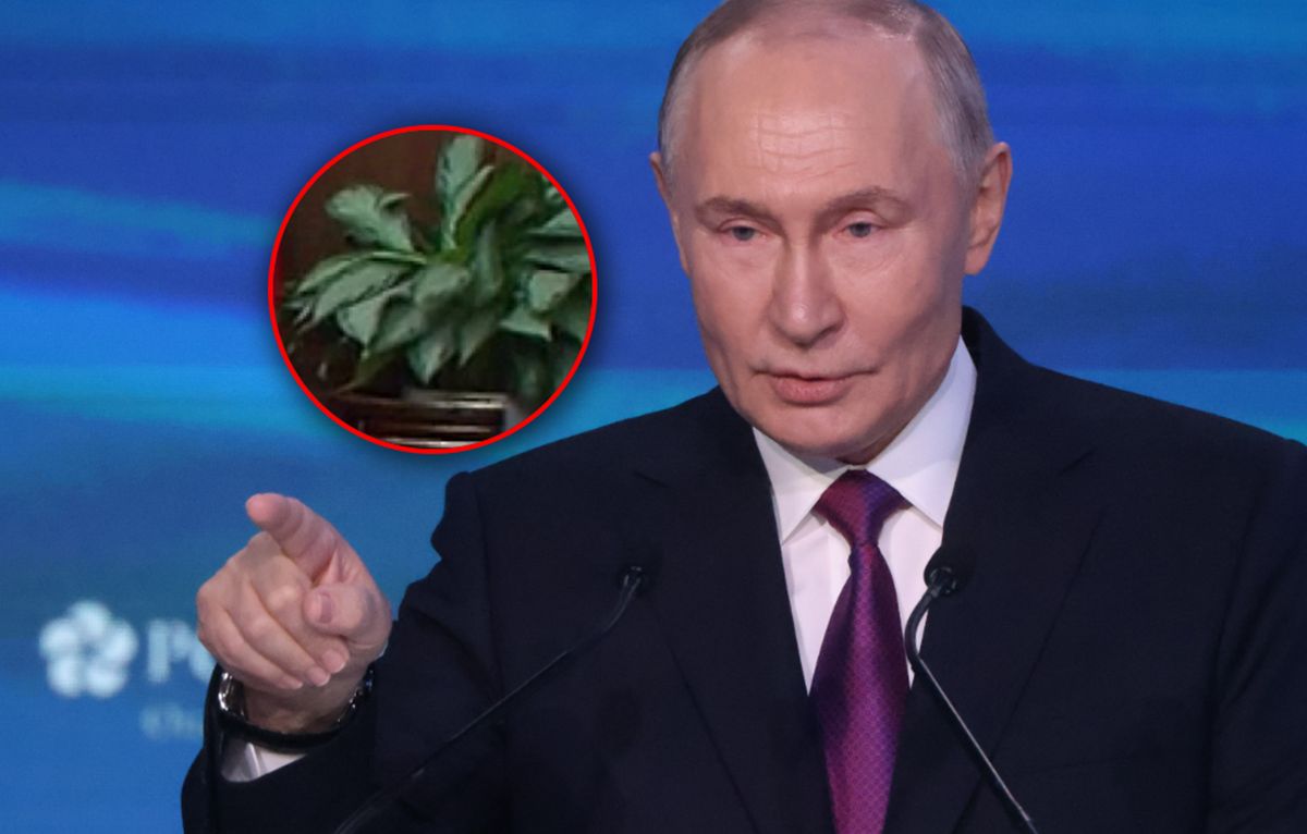 Wpadka Putina. Znów zdemaskowała go roślina