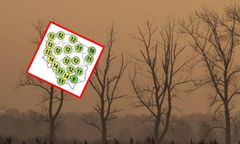 Nawet 14 stopni na termometrach. Idzie ocieplenie