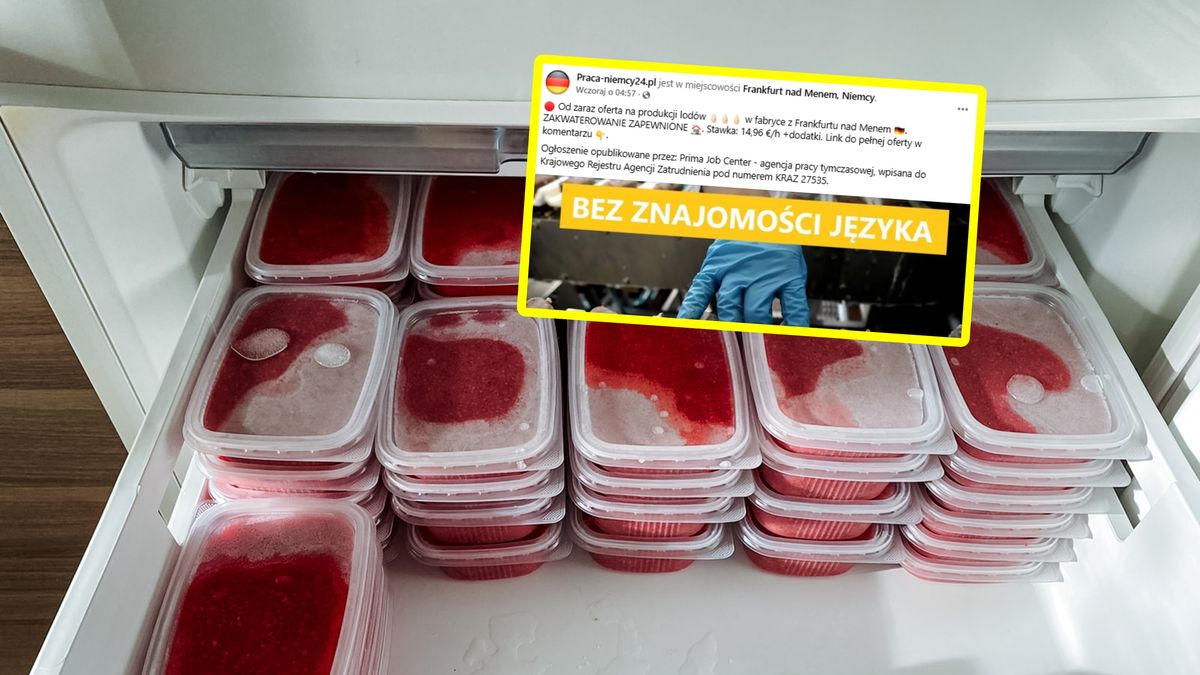 Szukają do pracy przy lodach.