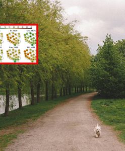 Takie będą najbliższe tygodnie. Jest nowa prognoza