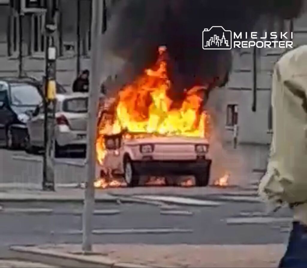 Fot. Czytelniczka Miejskiego Reportera
