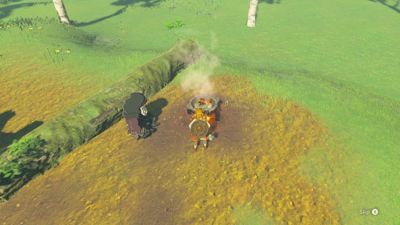 Legend of Zelda: Breath of the Wild - gotowanie