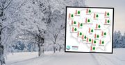 Jaka będzie zima 2024/2025? Prognoza pogody IMGW