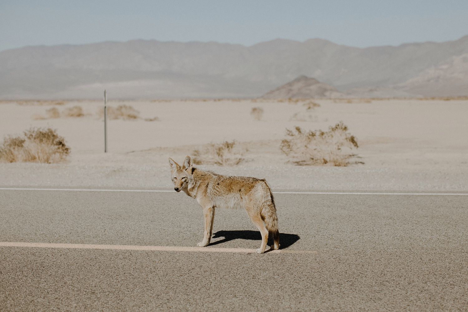 Rozmawialiśmy z Justyną Zduńczyk, laureatką Sony World Photography Awards 2018 19