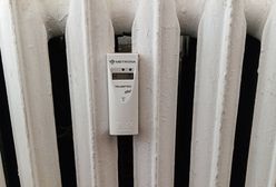 Ponad 300 zł miesięcznie z ZUS. Oto jak dostać ryczałt