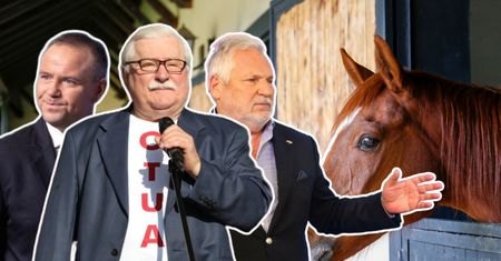 Konie Nawrockiego wywołały burzę. Tak było za poprzedników
