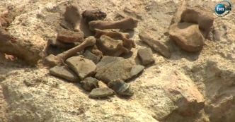 Monety, krzyżyk, fragmenty naczyń. Dawna kolegiata kopalnią skarbów