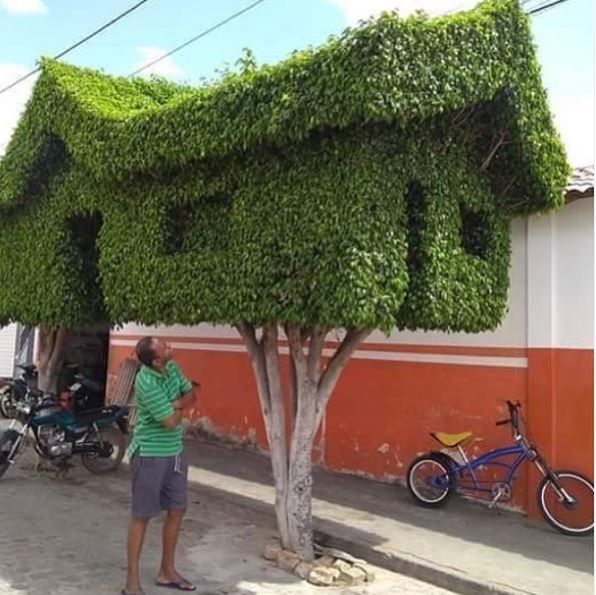 shitgardens/insta