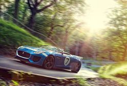 Jaguar Project 7