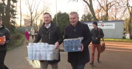 “Nie'” dla fajerwerków w sylwestra. Apel obrońców praw zwierząt