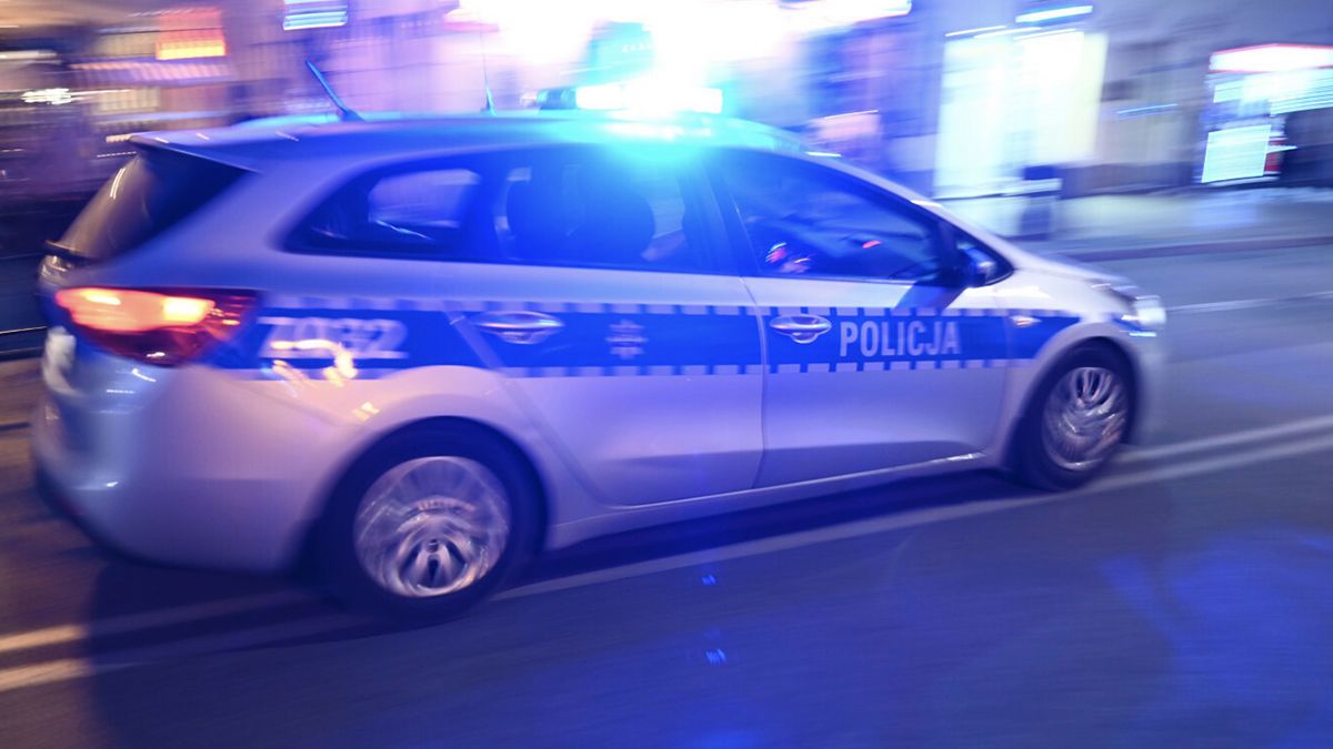 Policja zatrzymała samochód i wtedy się zaczęło. Pijany kierowca zaskoczył wymówką (fot. EastNews)