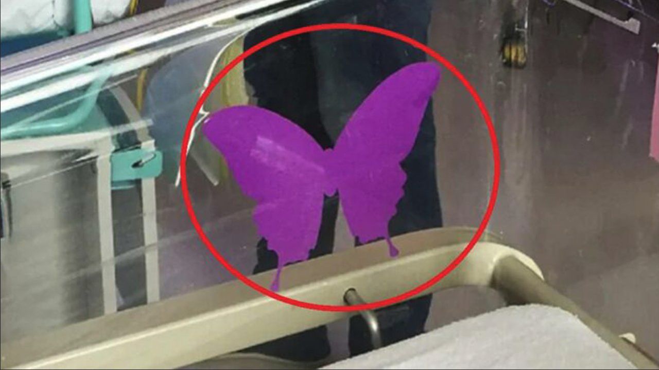 Fioletowy motyl przyklejony do łóżeczka noworodka. Ten symbol ma bardzo smutne znaczenie