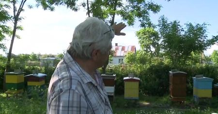 Wypadek spadochroniarzy niedaleko Mielca