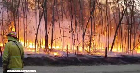 Pożary w Australii strawiły 60 tys. hektarów buszu i zniszczyły ponad 100 budynków