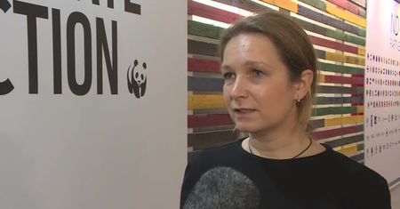 Ekspert WWF: Węgiel na Śląsku skończy się w 2050 roku