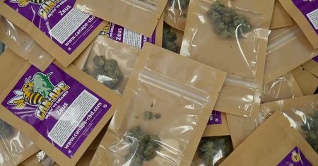 Marihuana “light” legalna we Włoszech. W Rzymie można ją zamówić z dostawą do domu