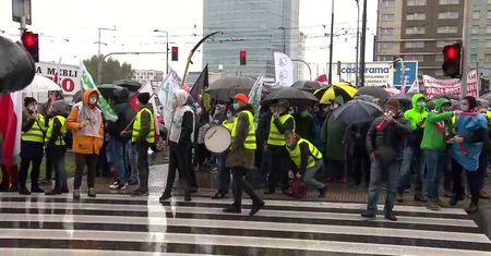 Dziś głosowanie w Senacie nad ustawą o ochronie zwierząt