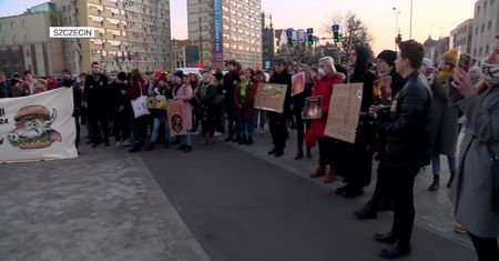 Protesty klimatyczne w polskich miastach