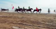 Ponad 100 koni wzięło udział w tradycyjnych wyścigach Mount Moni w Mongolii Wewnętrznej