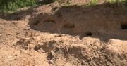 W Nowym Dworze na Podlasiu odkryto cmentarz z XVI wieku. Archeolodzy prowadzą tam badania