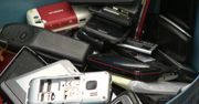 Zoo we Wrocławiu zbiera stare telefony. Środki uzyskane z ich recyklingu pomogą ratować ginące gatunki