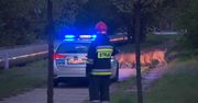 Policjanci przeprowadzili dziki przez skrzyżowanie na ekspresówce w Częstochowie