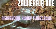 Zalety kuchni azjatyckiej. Dlaczego jest taka zdrowa?