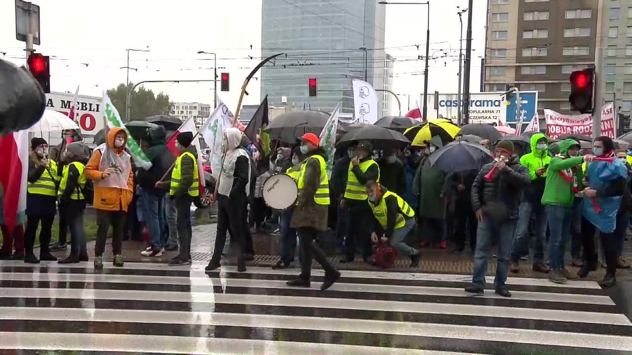 Dziś głosowanie w Senacie nad ustawą o ochronie zwierząt