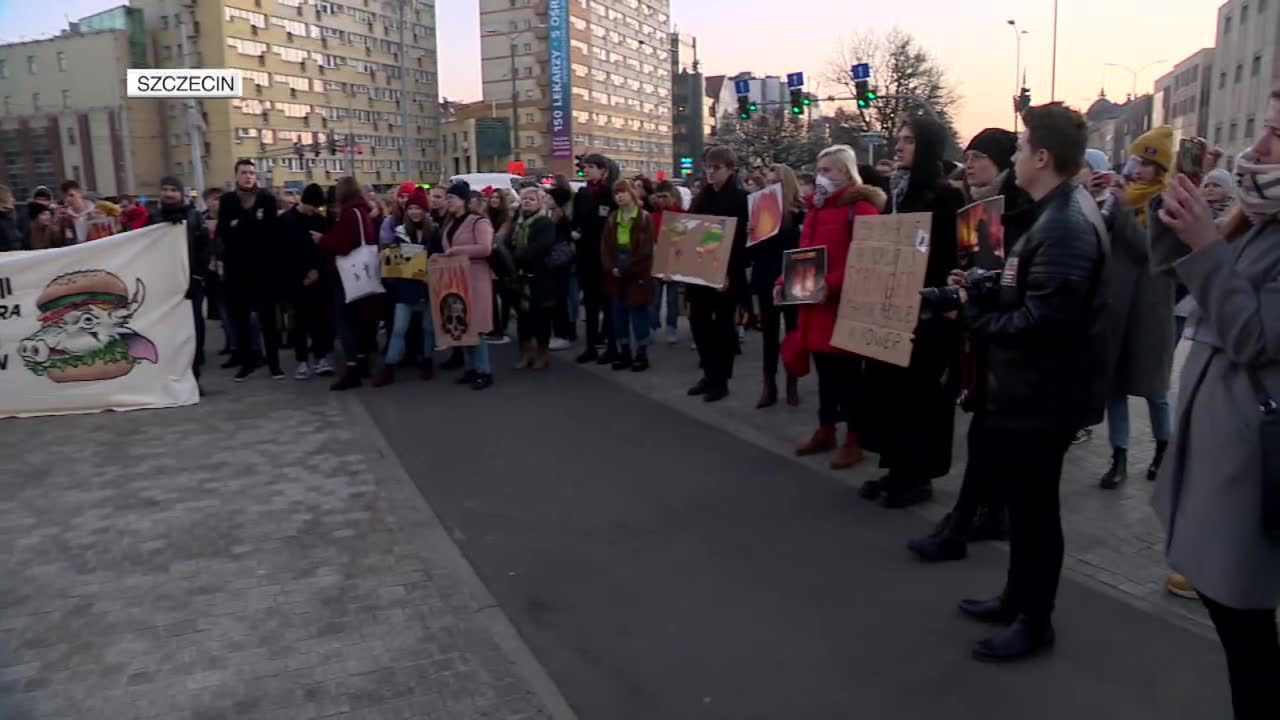 Protesty klimatyczne w polskich miastach